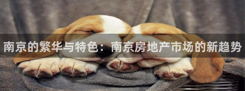 新宝5平台注册资金：南京的繁华与特色：南京房地产市场的新趋势