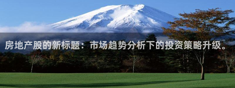 新宝5官网平台：房地产股的新标题：市场趋势分析下的投资策略升