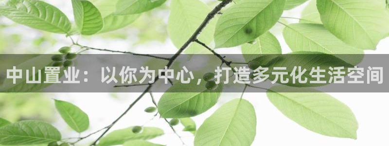 菲律宾新宝5老板：中山置业：以你为中心，打造多元化生活空间