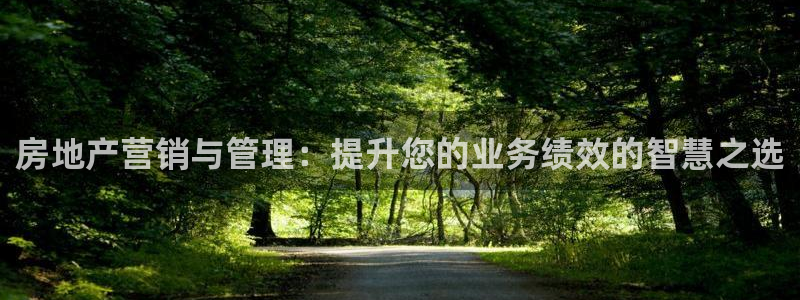 新宝5娱乐注册：房地产营销与管理：提升您的业务绩效的智慧之选