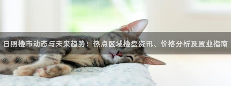 新宝5地址：日照楼市动态与未来趋势：热点区域楼盘资讯、价格分