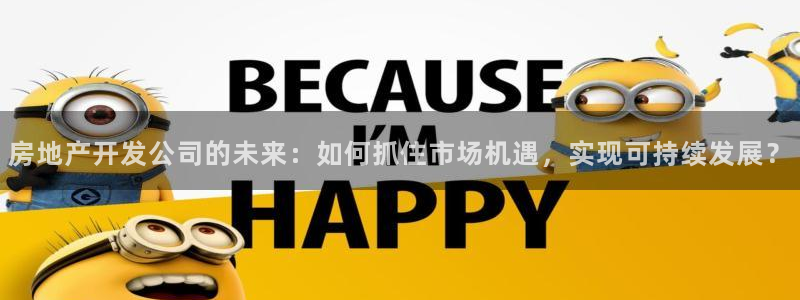 新宝那2O5O5O：房地产开发公司的未来：如何抓住市场机遇，