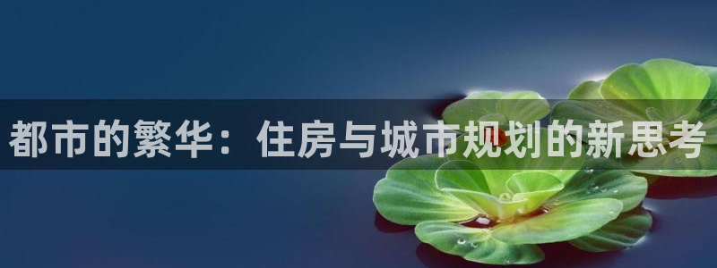 新宝5娱乐经：都市的繁华：住房与城市规划的新思考