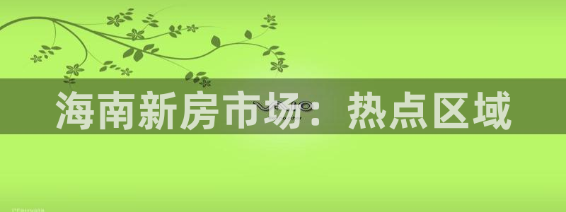新宝5日740005蔻：海南新房市场：热点区域