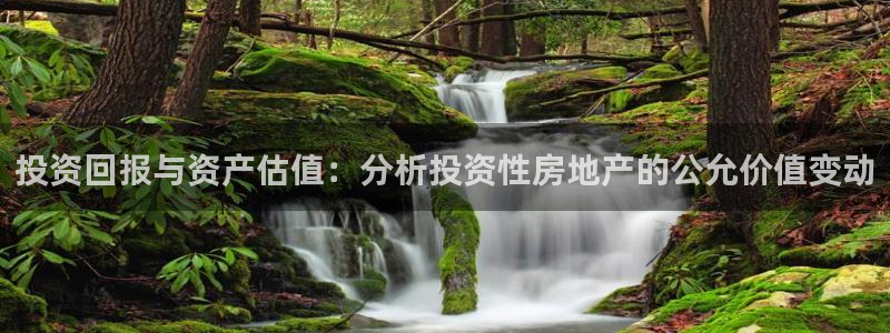 新宝5娱乐网址：投资回报与资产估值：分析投资性房地产的公允价