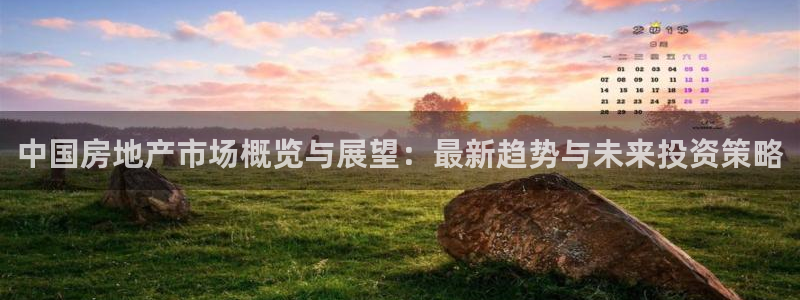 新宝5登录入口网址：中国房地产市场概览与展望：最新趋势与未来