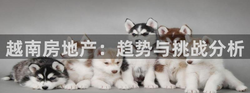 新宝5授权：越南房地产：趋势与挑战分析