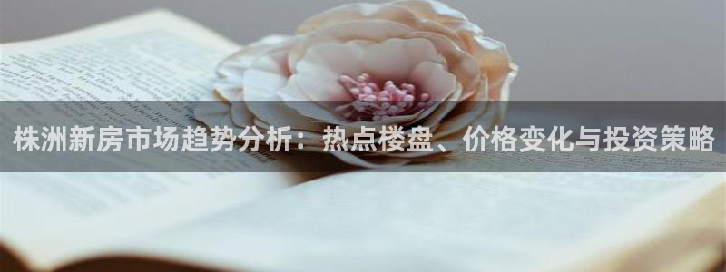 新宝5登录：株洲新房市场趋势分析：热点楼盘、价格变化与投资策