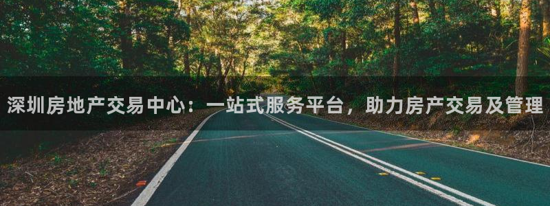 新宝5彩票是正规平台吗：深圳房地产交易中心：一站式服务平台，