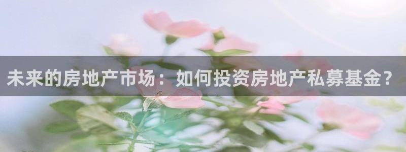新宝5平台咋样：未来的房地产市场：如何投资房地产私募基金？