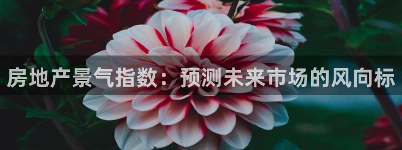 新宝5手机登录：房地产景气指数：预测未来市场的风向标