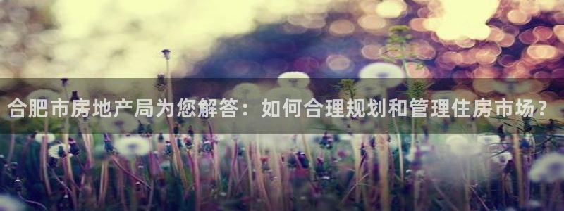 新宝新5：合肥市房地产局为您解答：如何合理规划和管理住房市场