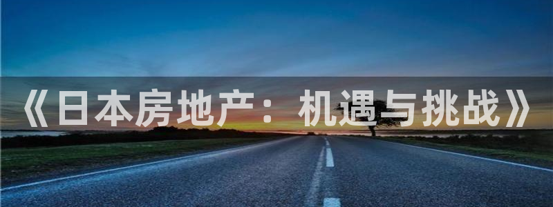 新宝5公司：《日本房地产：机遇与挑战》