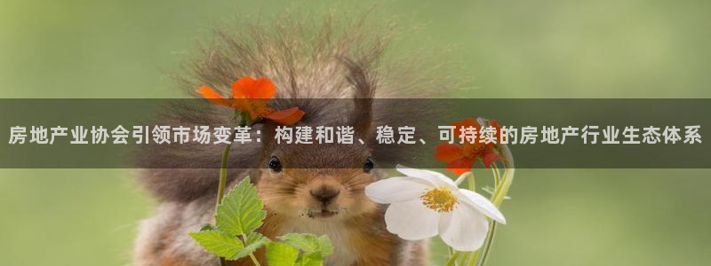 新宝5招商：房地产业协会引领市场变革：构建和谐、稳定、可持续