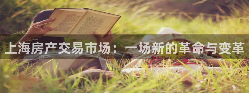 新宝5浗维33 300：上海房产交易市场：一场新的革命与变革