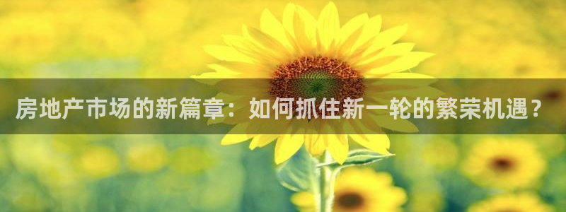 新宝5官网app：房地产市场的新篇章：如何抓住新一轮的繁荣机