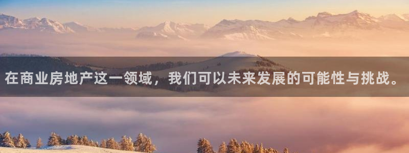 新宝5线路：在商业房地产这一领域，我们可以未来发展的可能性与