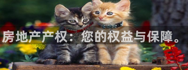 新宝5手机登录：房地产产权：您的权益与保障。