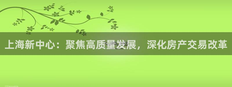 新宝5上来77542：上海新中心：聚焦高质量发展，深化房产交