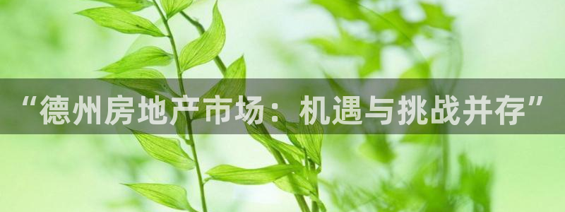 新宝5 888：“德州房地产市场：机遇与挑战并存”