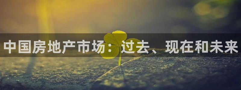 新宝5官网app：中国房地产市场：过去、现在和未来