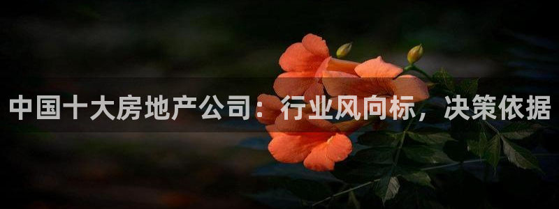 新宝5官网平台：中国十大房地产公司：行业风向标，决策依据