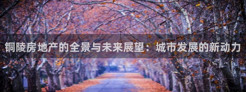 新宝5开户：铜陵房地产的全景与未来展望：城市发展的新动力