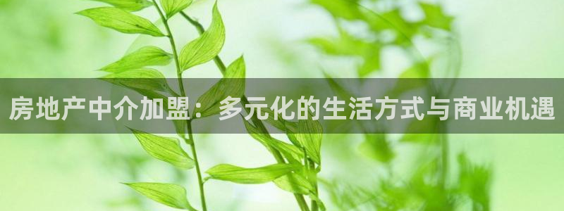 新5宝：房地产中介加盟：多元化的生活方式与商业机遇