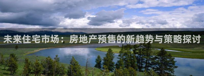 新宝5地址：未来住宅市场：房地产预售的新趋势与策略探讨