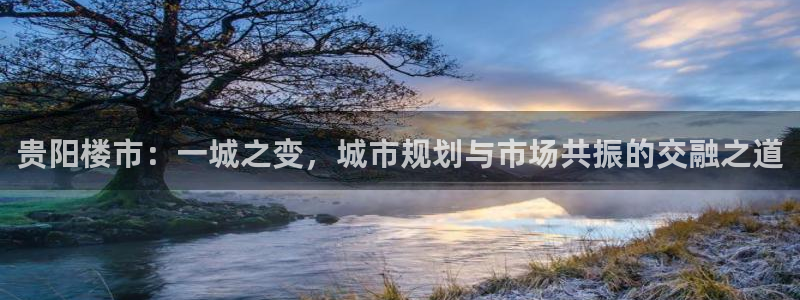 新宝5是谁：贵阳楼市：一城之变，城市规划与市场共振的交融之道