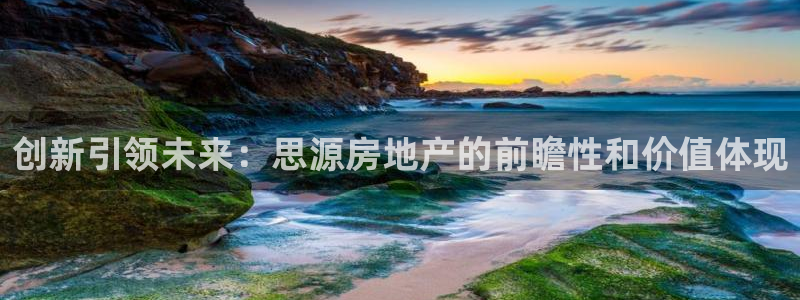 新宝5平棋牌：创新引领未来：思源房地产的前瞻性和价值体现