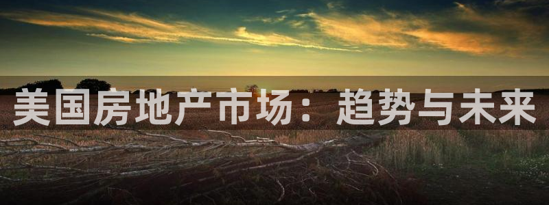 新宝5下载测试：美国房地产市场：趋势与未来