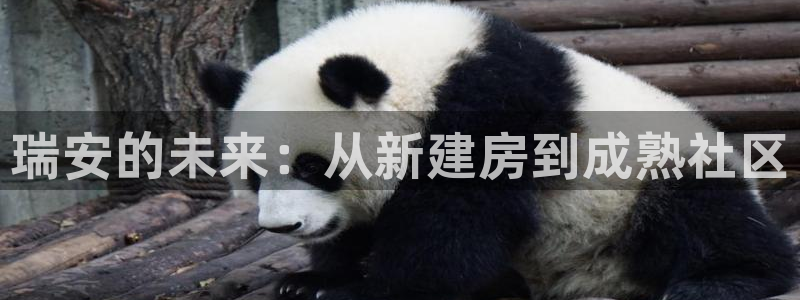 新宝6霸哥5：瑞安的未来：从新建房到成熟社区