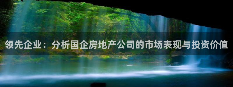 新宝5卫74OOO5：领先企业：分析国企房地产公司的市场表现