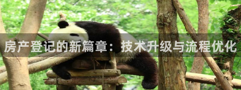 新宝5入口：房产登记的新篇章：技术升级与流程优化