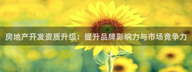 新宝新5：房地产开发资质升级：提升品牌影响力与市场竞争力