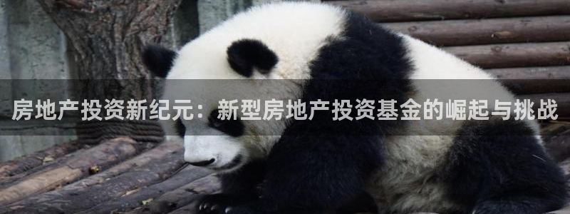新宝5登录不了：房地产投资新纪元：新型房地产投资基金的崛起与