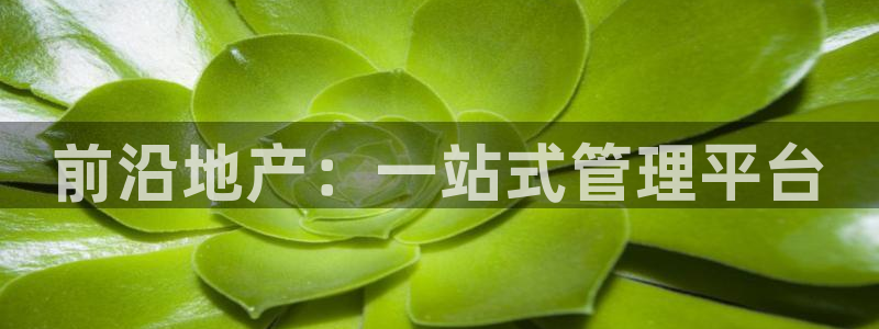 新宝5娱乐网址：前沿地产：一站式管理平台