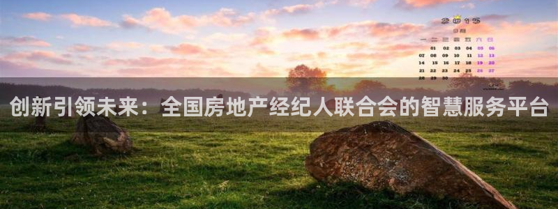 新宝5官网：创新引领未来：全国房地产经纪人联合会的智慧服务平