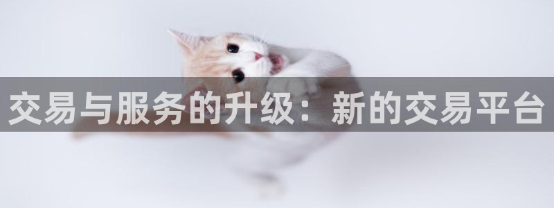 新宝5是谁的：交易与服务的升级：新的交易平台