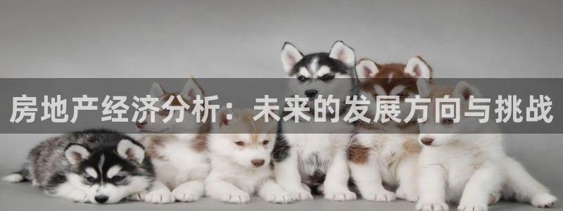 新宝5为啥开：房地产经济分析：未来的发展方向与挑战