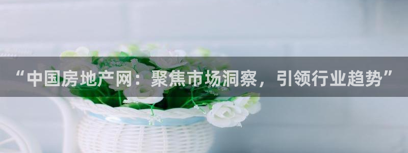 新宝5的网址