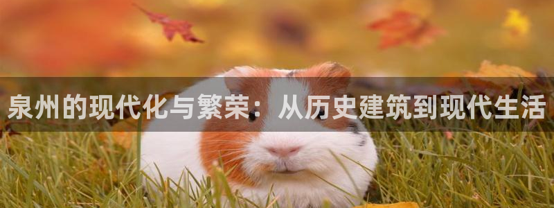 新宝5测试：泉州的现代化与繁荣：从历史建筑到现代生活