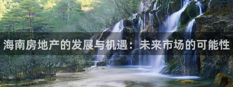 新宝5源码