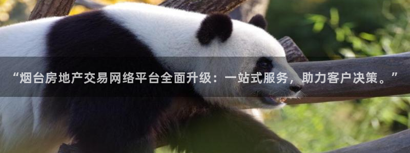 新宝速5：“烟台房地产交易网络平台全面升级：一站式服务，助力
