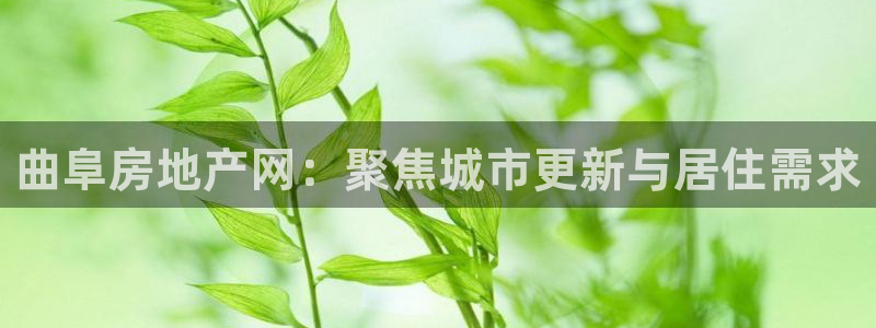 新宝5注册登录：曲阜房地产网：聚焦城市更新与居住需求