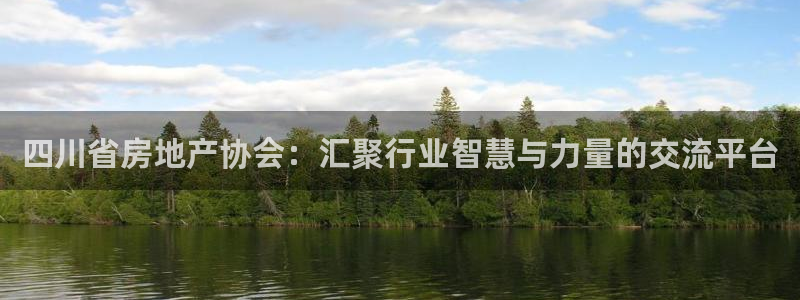 新宝5平台咋样：四川省房地产协会：汇聚行业智慧与力量的交流平