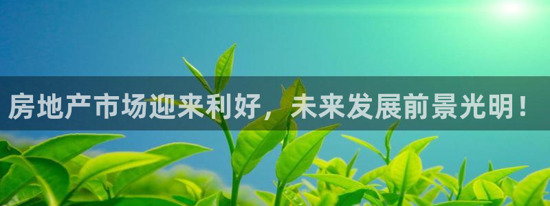 新宝5官方：房地产市场迎来利好，未来发展前景光明！