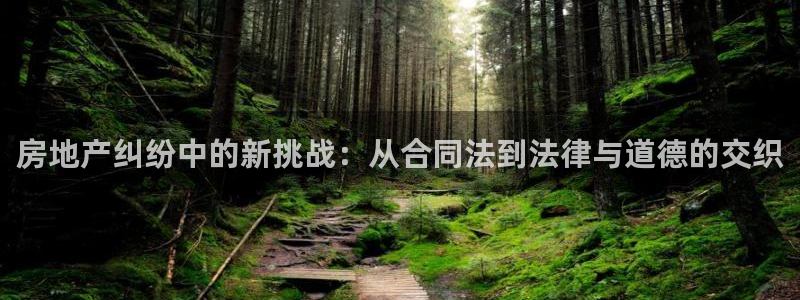 新宝骏rc5W：房地产纠纷中的新挑战：从合同法到法律与道德的