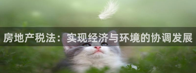 新宝5直属：房地产税法：实现经济与环境的协调发展